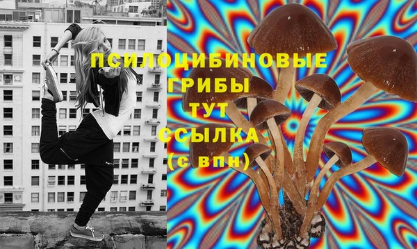 MDMA Premium VHQ Корсаков