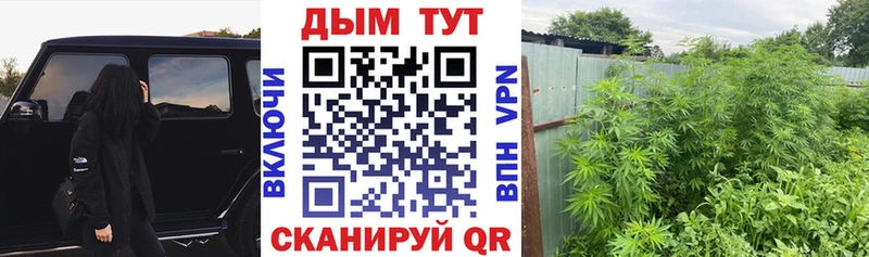 Канабис семена  Купить закладки  Боготол 